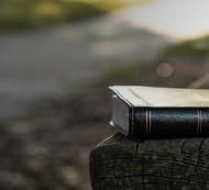 Holy Bible sitting on a wooden bench.  Image by Aaron Burden on Unsplash.